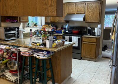 Profile Renovation of old kitchen in pelton avenue coquitlam